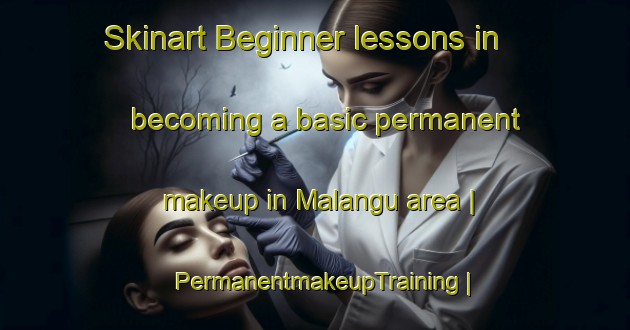 Skinart Beginner lessons in becoming a basic permanent makeup in Malangu area | PermanentmakeupTraining | PermanentmakeupClasses | SkinartTraining-the Democratic Republic of the Congo
